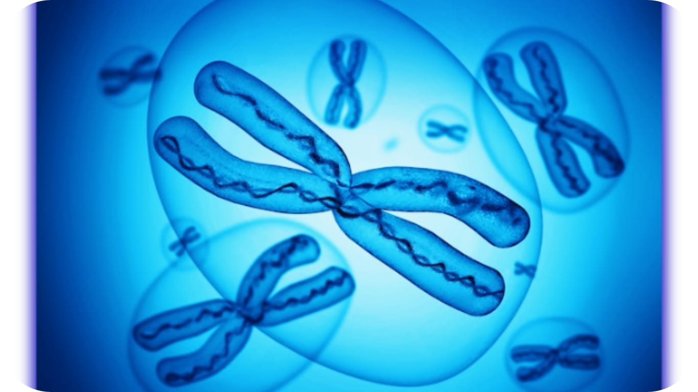 Molecular Cytogenetics